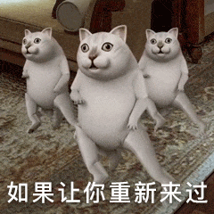 养猫要做好什么准备 包括哪些心理准备 知乎