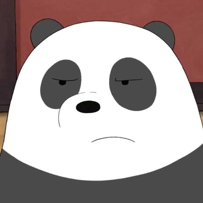 收集《咱们裸熊》的头像？