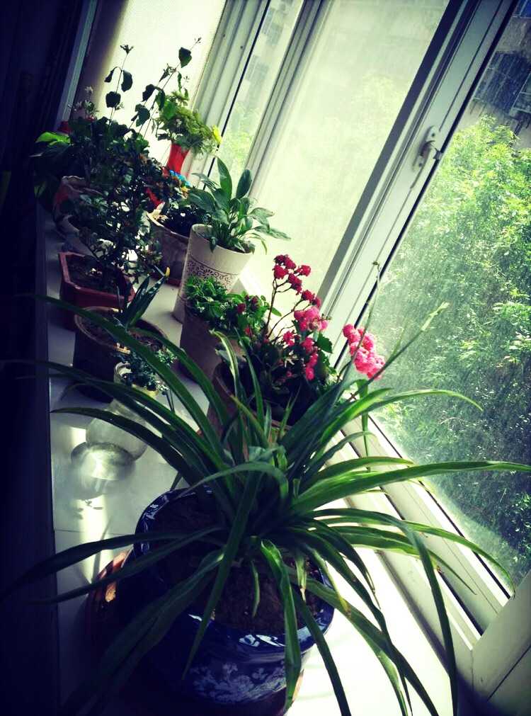 我家一角# 最喜欢客厅的大沙发 - 知乎