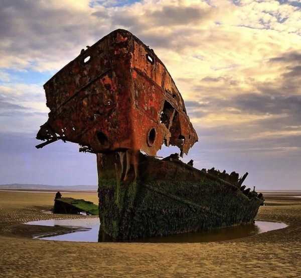 人类灭绝之后,世界是什么样的?