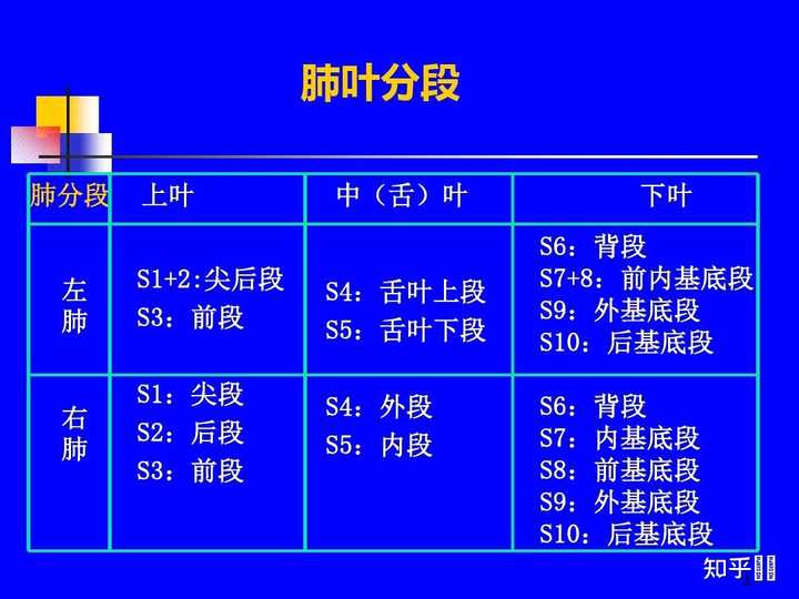肺部五叶十八段在CT上怎么具体划分呢？mimics做三维重建的话，以什么标准执行呢？ - 知乎