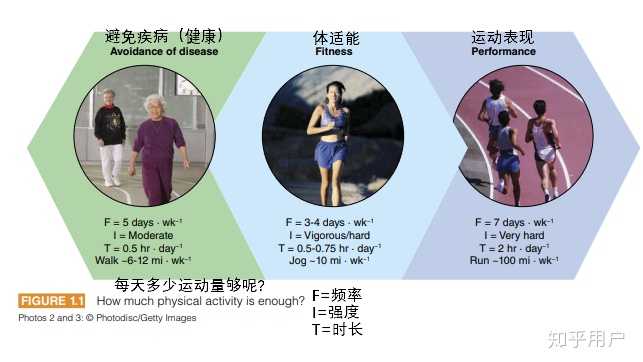保持健康就一定要运动吗 知乎
