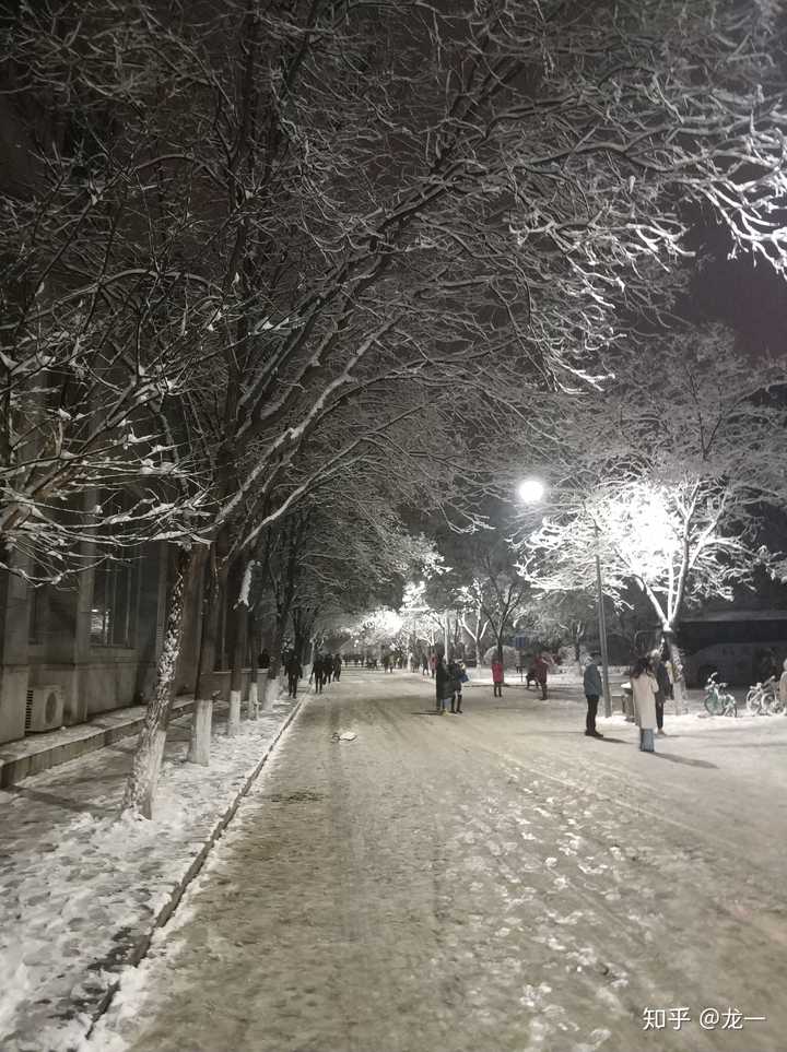 你的城市(学校)下雪了吗?