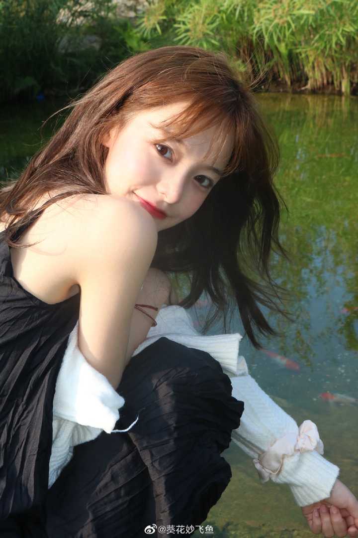 如何评论葵花妙飞鱼 知乎 如何评论葵花妙飞鱼 知乎