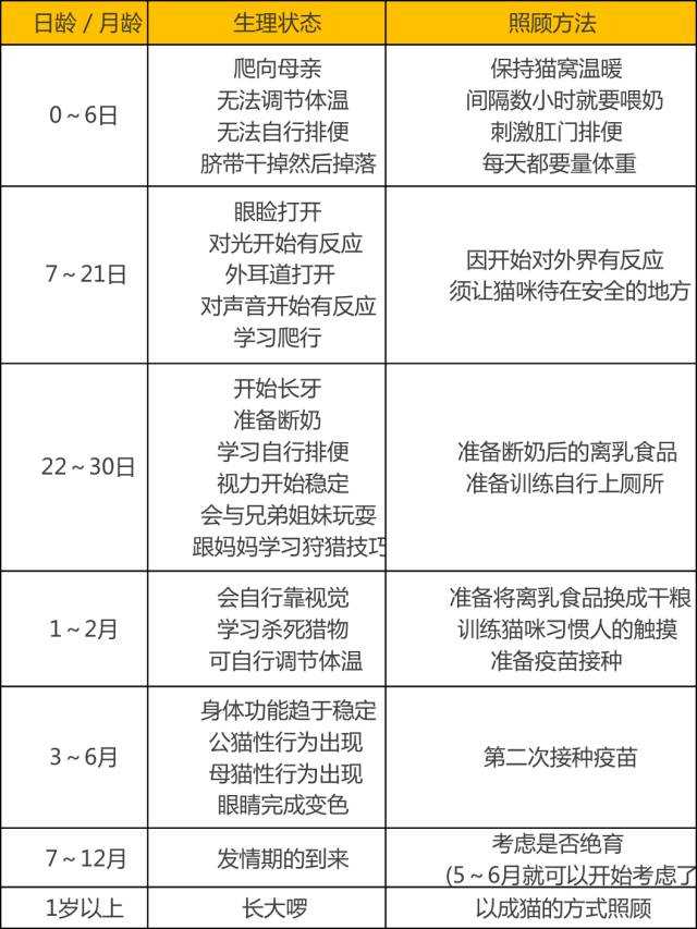 养猫需要做什么准备工作 知乎 养猫需要做什么准备工作 知乎