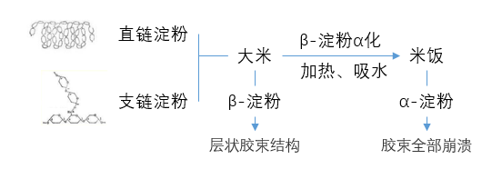 为什么关于煮饭的 加水时把水没过手指第一节或者压进去的手 这种无视锅大米量的经验能流传这么广 知乎