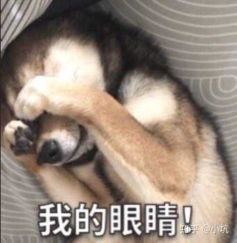 你因为视力不好而闹过什么难忘的笑话 知乎 你因为视力不好而闹过什么难忘的笑话 知乎