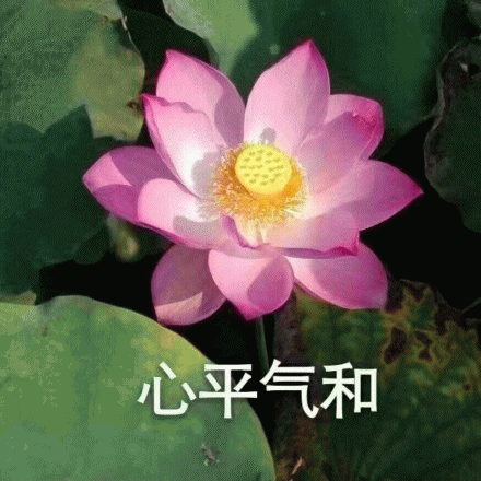 哄娃睡觉这些年,宝妈们是如何度过的?