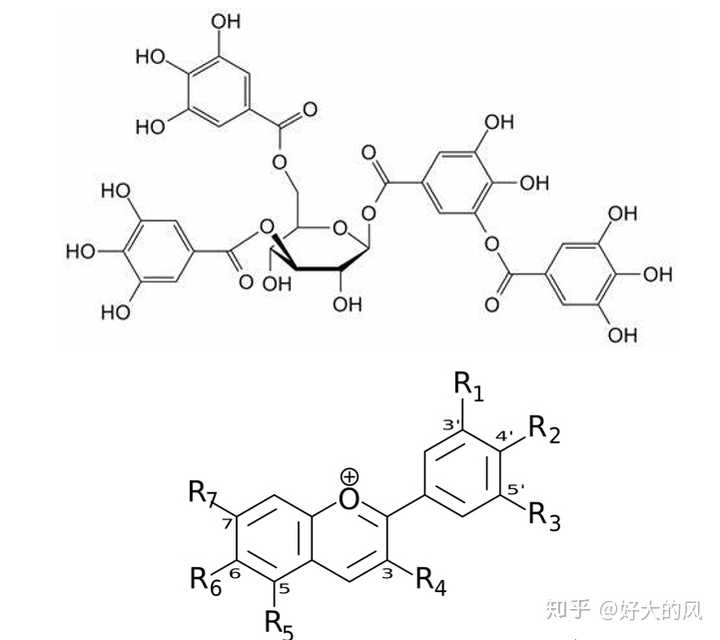 单宁与花青素的分子结构