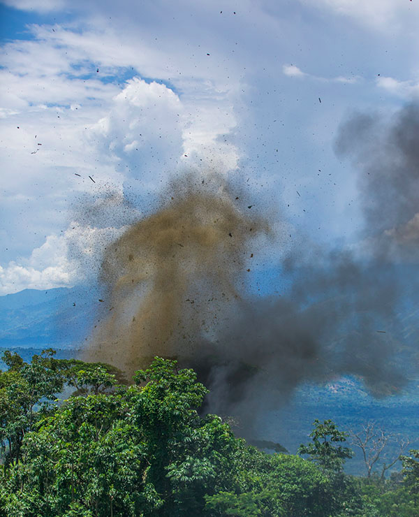 过了几分钟,"砰"的一声,炸弹爆炸,虽然有树遮挡,我们还是看到了崩飞的