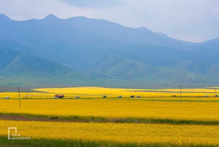 假如让我说下去