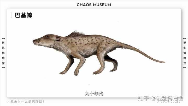 生物这门学科有多有趣 知乎