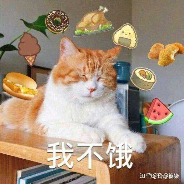 快阻止一哈这个蠢蠢欲动,想买零食的心