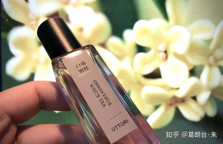 哪个牌子的桂花味香水味道正 知乎