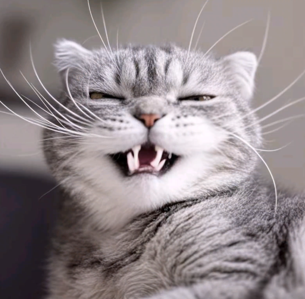 为什么我写小说写不出来看的小说的那种感觉？是因为主角说的话有点尬吗，那怎样才能改过来？