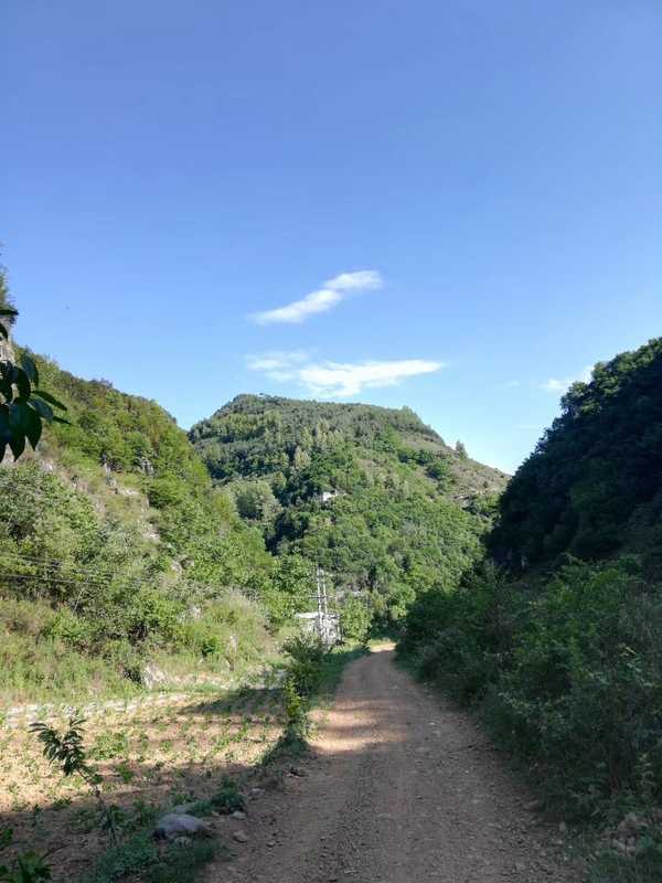 作为极简主义者，你觉得真正的必需之物有哪些？