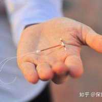 节育环的寿命有5… - 知乎