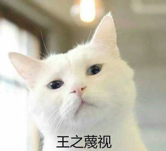 日本有什么提到猫的古籍 蓝果子的回答 知乎 日本有什么提到猫的古籍 蓝果子的回答 知乎