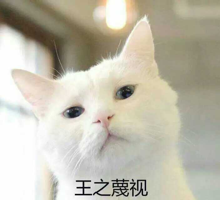 日本有什么提到猫的古籍 蓝果子的回答 知乎