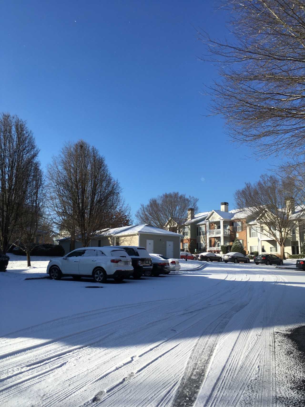 带豆豆去看雪# 美国 北卡罗莱纳州 家门口,下雪了可冷啦!