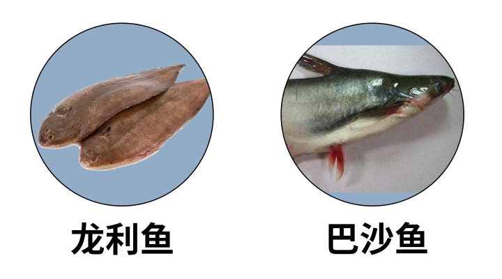 传言中国超市里的龙利鱼其实原名巴沙鱼 对人体大大有害 是否属实 知乎