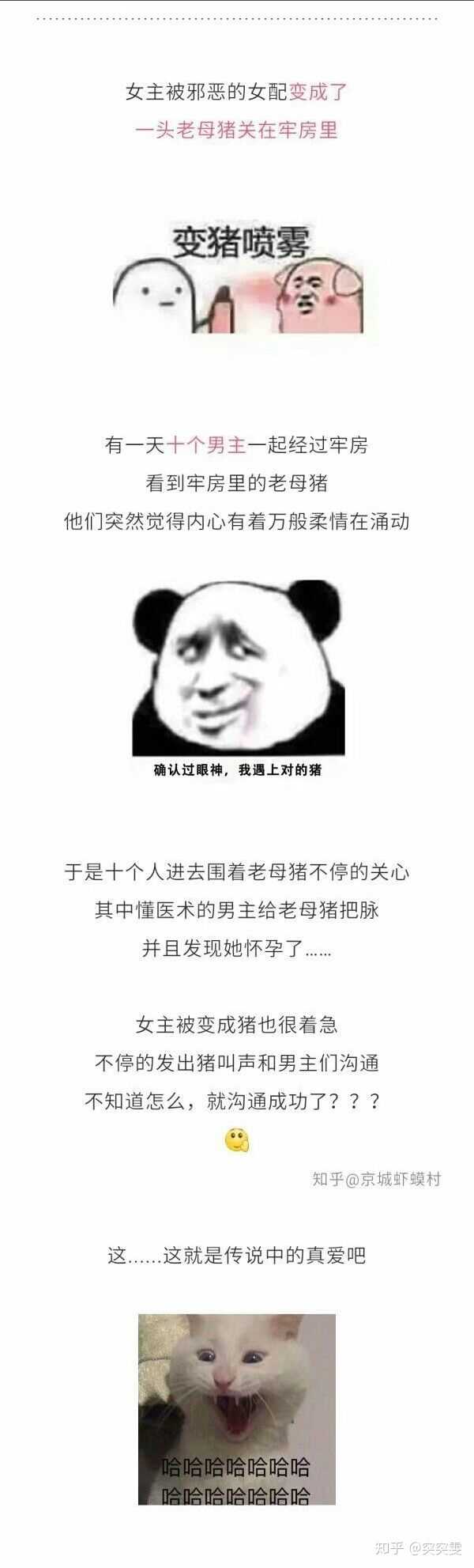 網絡小說裡有什麼沙雕情節?