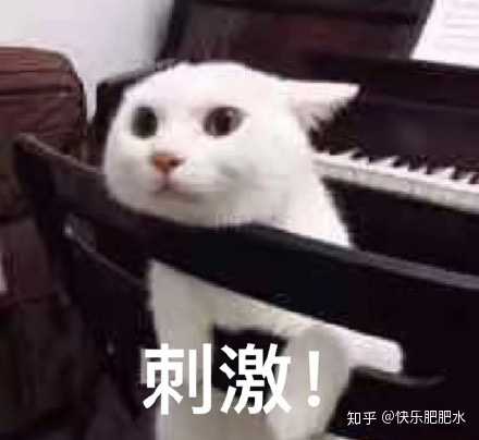 你有哪些面试失败的惨痛经验?