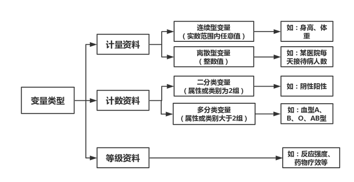 人口学变量spss_人口学变量直方图(2)