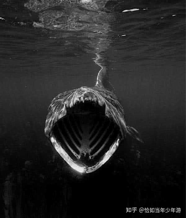 绝望到窒息,痛苦到麻木