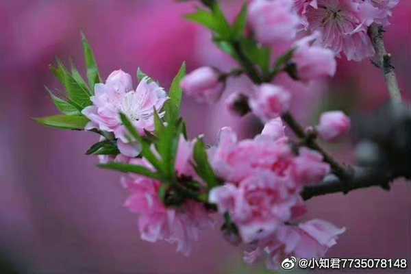 有哪些绝美的诗句?