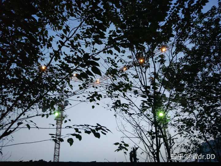 大学本科双学位有说服力么 要不要去学双学位 如何看待双学位 知乎