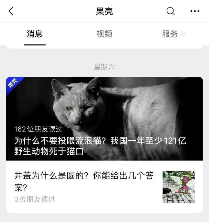 流浪猫真的会影响我国的生态吗 知乎