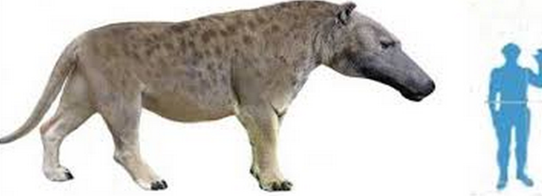 世界上存在过哪些好看的古生物 知乎