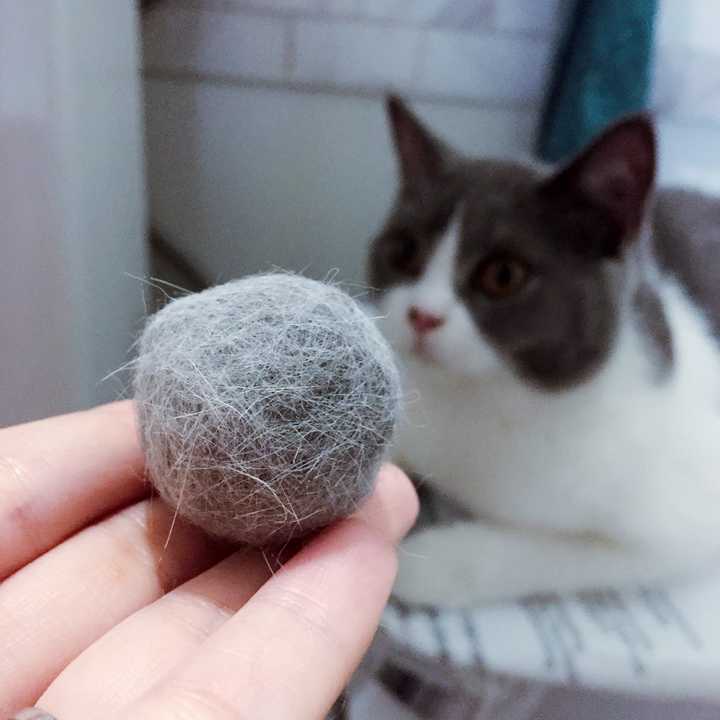 猫毛可以用来干嘛?