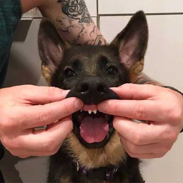 从眼睛或者眼神就能看透一个人吗？