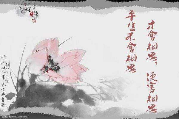 你觉得最能表达思念的诗词或诗句？