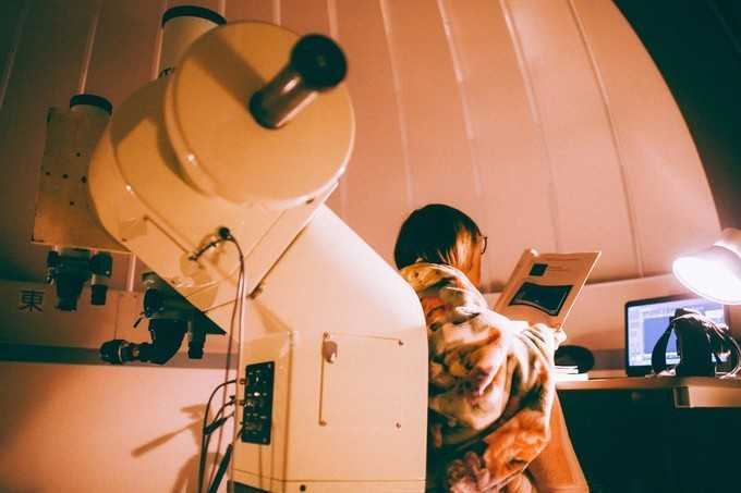 想去日本深度旅游 有哪些冷门的地方景点一定要去 知乎