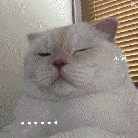你收藏了哪些可爱的gif动画? - 知乎