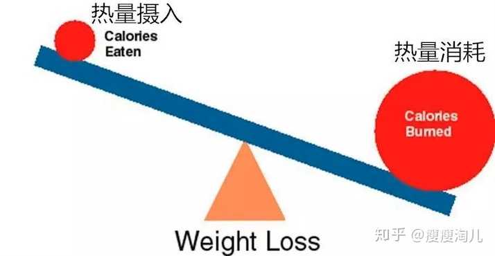 怎样变成易瘦体质 知乎
