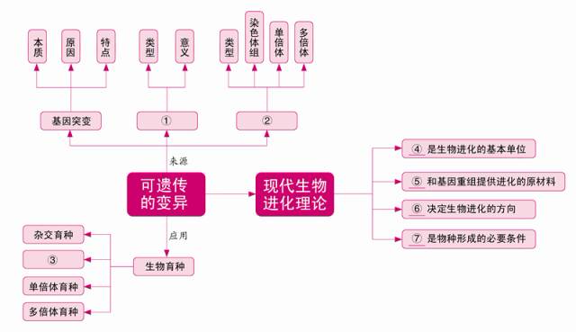 ②相對性狀 ③等位 ④雜合子 ⑤一對 ⑥兩對或兩對以上 提示:①摩爾根