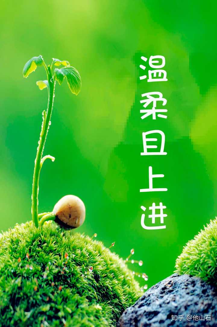 有没有一张绿色壁纸上面写的是温柔且上进啊