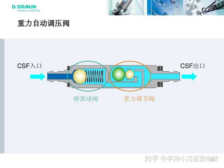 德国企业,贝朗的器械部门称为蛇牌,做的医生教育活动蛇牌学院在中国的