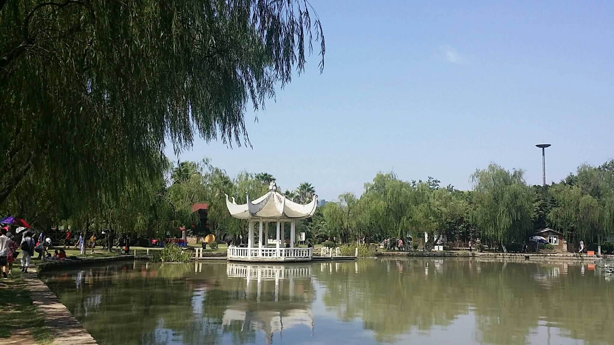 温州江心屿的共青湖优美的景色