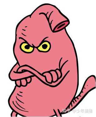 肚子老是咕噜咕噜叫,不是饿的,在图书馆和睡觉前尤为严重,有什么方法