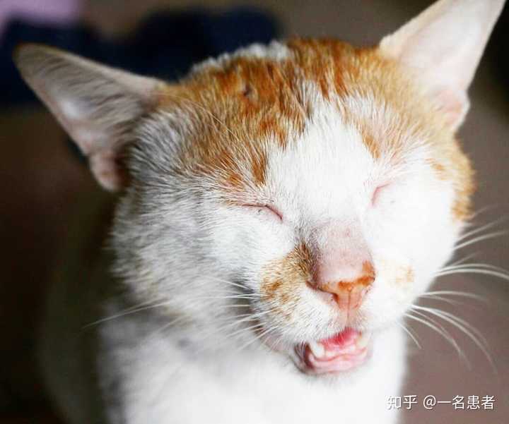 侠盗猎车手 Gta 5通关后 还能怎么玩 或者说还有哪些有趣的事情可以做 知乎