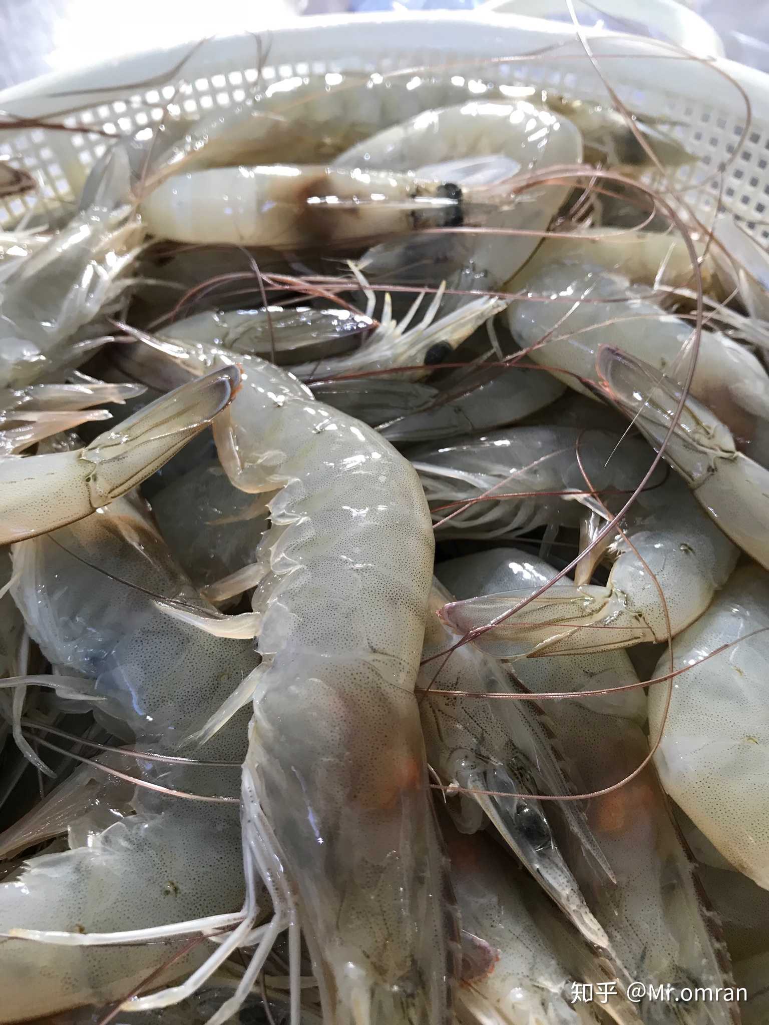 虾(shrimp head on in the iran )