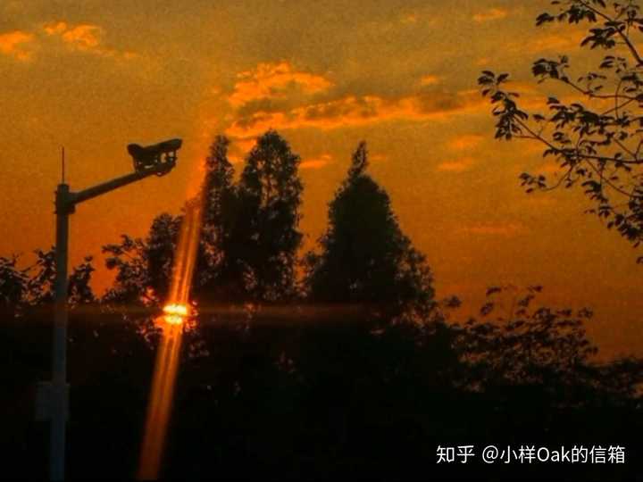 你最喜欢的话是哪一句或哪一段?