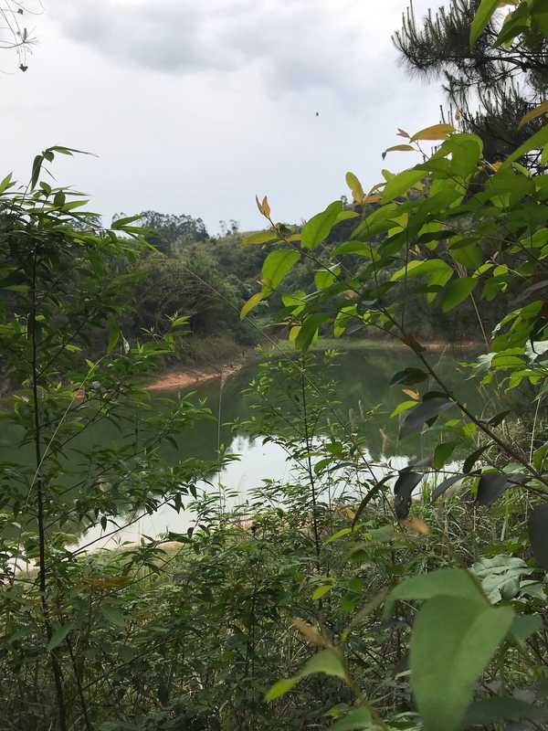 《黑社会：龙城岁月》片尾，阿乐为什么非杀大 D 不可？