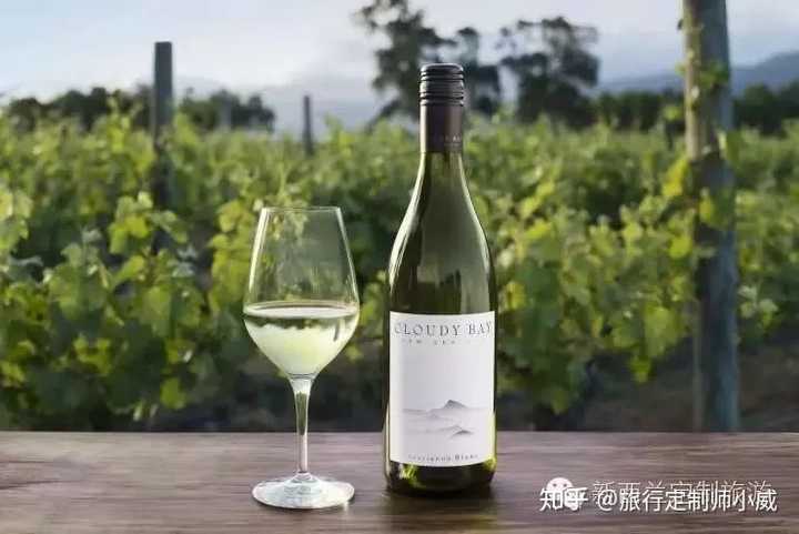 cloudy bay 长相思白葡萄酒 sauvignon blanc  黄磊明星同款
