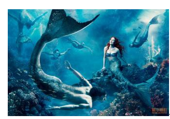 如果有美人鱼 它们如何交配 知乎